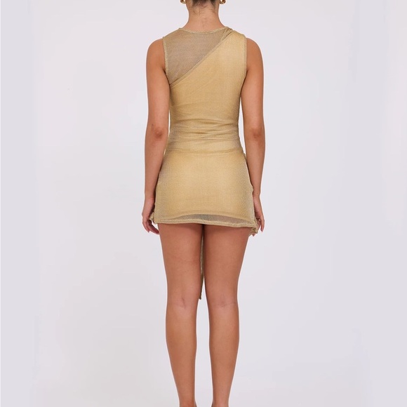 Tiger Mist Gold Women's Dress NWT - Picture 5 of 9